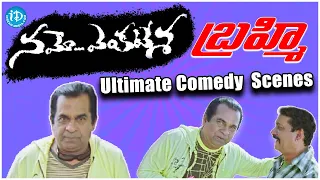 Brahmanandam Ultimate Comedy Scenes | Brahmanandam Comedy Scenes | iDream Media