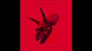 Alice In Chains *Unofficial Dynamic Remaster - 02 Pretty Done