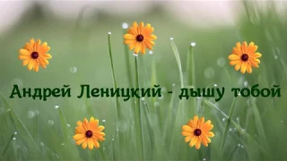 Андрей Леницкий - Дышу тобой | караоке