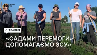 «Сади перемоги»: у Магдалинівській громаді вирощують овочі для переселенців та ЗСУ