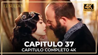 El Sultán | Capitulo 37 Completo (4K)