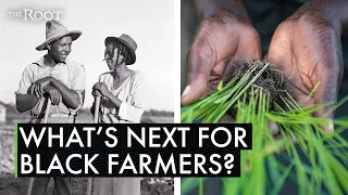 How the Black Farmers Collective Is Growing a Black-Led Food System Rooted in Black Liberation