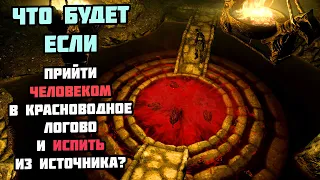 Что Будет Если Прийти ЧЕЛОВЕКОМ в Красноводное Логово? Skyrim Anniversary