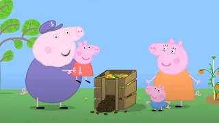 Świnka Peppa | KOMPOST | Bajki Po Polsku | Peppa po Polsku