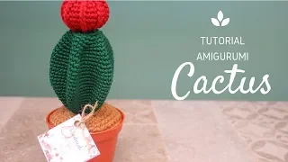 tutorial amigurumi cactus #4 || misyelshin crochet
