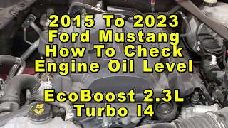 Ford Mustang How To Check Engine Oil Level EcoBoost 23L Turbo I4   2015 To 2023 6th Generation