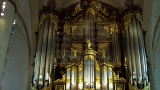 Psalm 118, Laat ieder 's Heren goedheid prijzen; samenzang Martinikerk Groningen