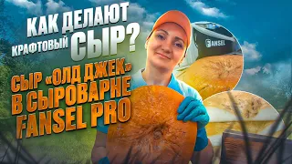 Сыры Ручной Работы / Мастер класс на Fansel Pro / Сыр "Олд Джек" рецепт / Оборудование для сыроварни