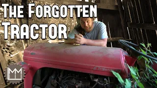 I found a Forgotten Ferguson Tractor! Will it start?