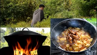 2 Days Life in the Forest | Getting Firewood, Harvesting, Cooking Foods, and Taking Care of my Dogs