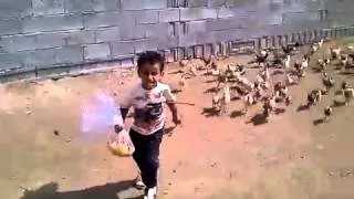 Kid running away from chickens