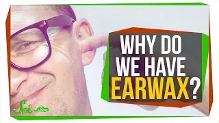 Why do we Have Earwax?