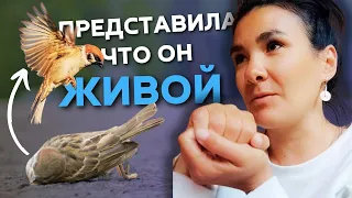 ОСОЗНАННЫЙ выбор в мыслях- сильно влияет на нану жизнь! Пример из личного опыта