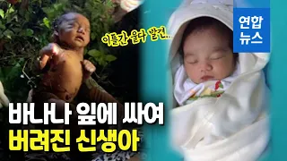 코브라 서식지에 버려진 신생아, 이틀 만에 구조된 아기 몸에는 / 연합뉴스 (Yonhapnews)