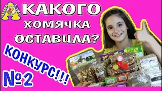 КАКОГО ХОМЯЧКА Я ОСТАВИЛА? / КАК НАЗВАТЬ ХОМЯЧАТ / КОНКУРС №2 / спиннер! ХОМЯК / ХОМЯЧОК / АЛИСА ИЗИ