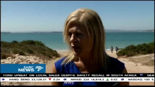 Abalone poachers in the Western Cape highlighted