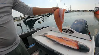 How to FILLET a Trout quick and easy