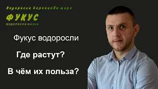 #Фукус #водоросли. Где растут? В чём их польза? Фильм первый.