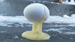 Egg in -32°C