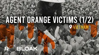 The Vietnam War's Toxic Legacy: Agent Orange's Dark Shadow (1/2).
