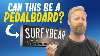 Can the Surfy Bear Reverb be used as a PEDALBOARD? + a peek at my Dinosaur Ghost board.