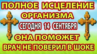 29 февраля ИСЦЕЛИТ ДАЖЕ САМУЮ ЗАПУЩЕННУЮ БОЛЕЗНЬ! Включи! Молитва ЗАМЕНИТ ВСЕ на здоровье