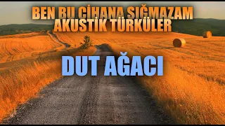 DUT AĞACI 🎵 Enes Yolcu | Ben Bu Cihana Sığmazam Akustik Türküler