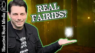 Are Fairies Real? True Stories about Fairies!