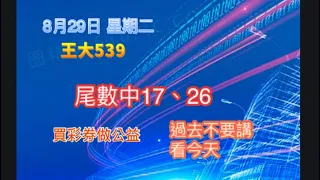 8月29日【王大539】| |💥尾數中 7尾17、6尾26💥| |今彩539牙起來，還沒跟到車！！按讚、訂閱，持續追踨！