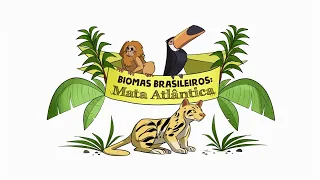 BIOMAS BRASILEIROS: MATA ATLÂNTICA