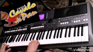 AS MELHORES - FORRÓ DAS ANTIGAS ROMÂNTICAS (solos) no teclado yamaha psr s 670