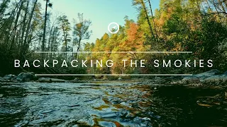 3 Days and 2 Nights in the Smokies | Our first backpacking trip in the Great Smoky Mountains