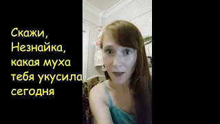 Idioma ruso Какая муха тебя укусила