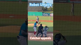 Robot umpire agrees with the umpire on the field. It’s a BALL.  Automated Ball/Strike system ⚾️ 2023