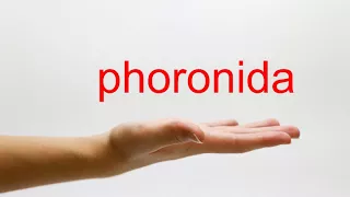 How to Pronounce phoronida - American English