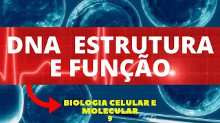 DNA - ESTRUTURA E FUNÇÃO - BIOLOGIA CELULAR E MOLECULAR - AULA 9