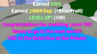 A MONTH Of Grinding... (Roblox Blox Fruits)