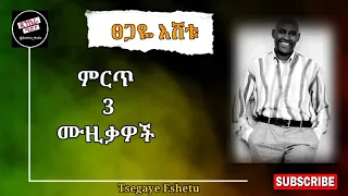 ፀጋዬ እሸቱ ምርጥ 3 የተመረጡ  ዘፈኖች ምርጥ ሙዚቃ best Tsegaye eshetu music Ethiopian non stop music Tsegaye eshetu