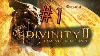 Let's Play Divinity II: Flames of Vengeance - #001 - Befreiung