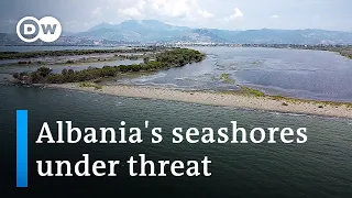 How rising sea levels threaten Albania's economy and biodiversity | Focus on Europe