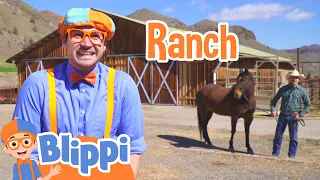 Learning Farm Vehicles and Animals With Blippi | Educational Videos For Kids