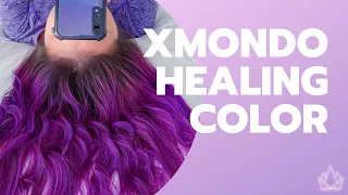 XMONDO Super Purple | Brad Mondo Hair Color