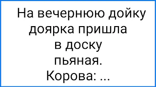 Тимуровцы и в Доску Пьяная Доярка!!! Смешная Подборка Анекдотов!!!