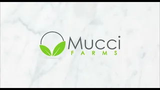 Mucci Farms | Bell Pepper Farm Expansion