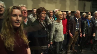 2017 - Groningen Zingt - Het Het Nog Nooit Zo Donker West