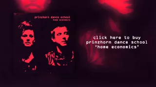 Prinzhorn Dance School "Education" (Official Audio)