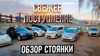 Авто из Японии без пробега по РФ, свежий привоз!