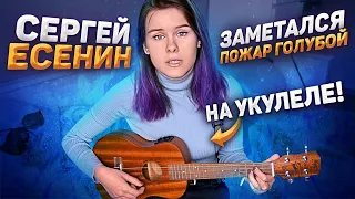 Сергей Есенин - Заметался пожар голубой на укулеле