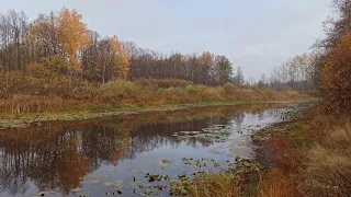 Поход выходного дня. Мини сплав по реке Дёма. Лекаревка, Акманай.