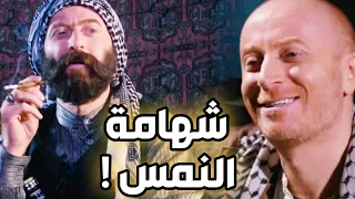 النمس ينقذ البلد من حرامية الأثار ـ أجمل مشاهد باب الحارة !